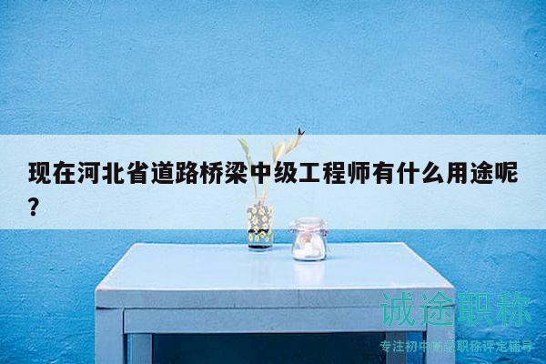 現(xiàn)在河北省道路橋梁中級工程師有什么用途呢？