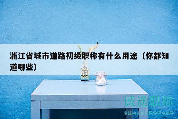 浙江省城市道路初級(jí)職稱有什么用途（你都知道哪些）