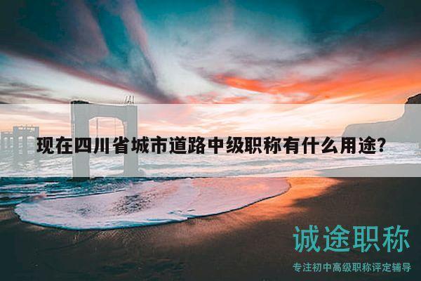 現(xiàn)在四川省城市道路中級職稱有什么用途？