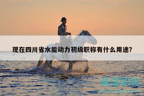 現(xiàn)在四川省水能動(dòng)力初級(jí)職稱(chēng)有什么用途？