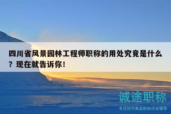 四川省風景園林工程師職稱的用處究竟是什么？現(xiàn)在就告訴你！
