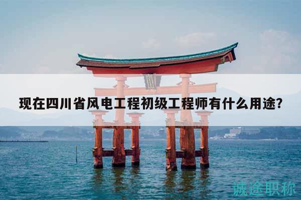 現(xiàn)在四川省風(fēng)電工程初級工程師有什么用途？