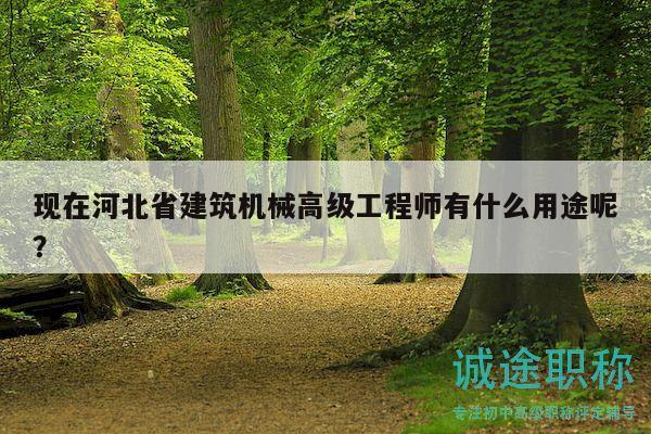 現(xiàn)在河北省建筑機(jī)械高級(jí)工程師有什么用途呢？