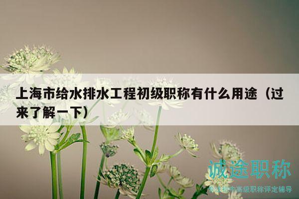 上海市給水排水工程初級(jí)職稱(chēng)有什么用途（過(guò)來(lái)了解一下）