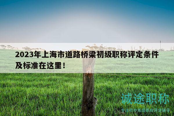 2023年上海市道路橋梁初級職稱評定條件及標準在這里！