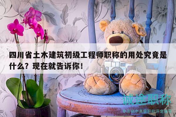 四川省土木建筑初級(jí)工程師職稱的用處究竟是什么？現(xiàn)在就告訴你！