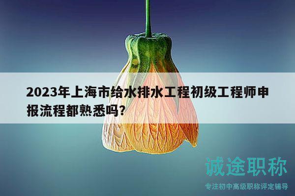 2023年上海市給水排水工程初級(jí)工程師申報(bào)流程都熟悉嗎？