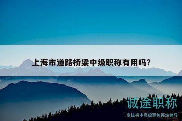 上海市道路橋梁中級(jí)職稱有用嗎？