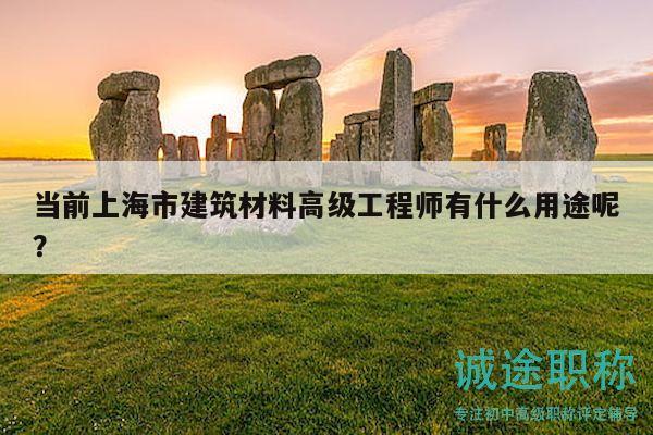 當前上海市建筑材料高級工程師有什么用途呢？