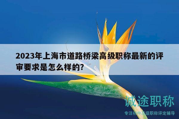 2023年上海市道路橋梁高級職稱最新的評審要求是怎么樣的？