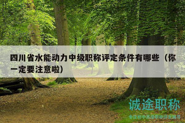四川省水能動(dòng)力中級(jí)職稱評(píng)定條件有哪些（你一定要注意啦）