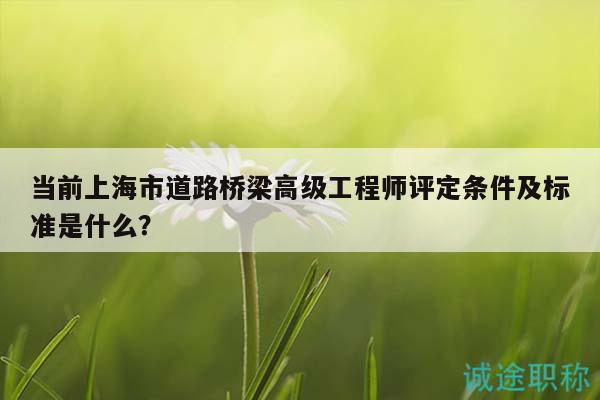 當(dāng)前上海市道路橋梁高級工程師評定條件及標(biāo)準(zhǔn)是什么？