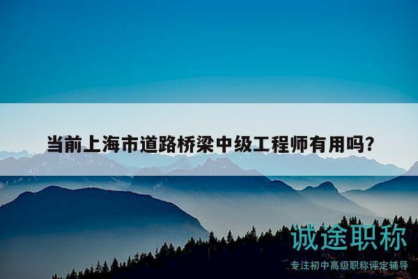 當前上海市道路橋梁中級工程師有用嗎？