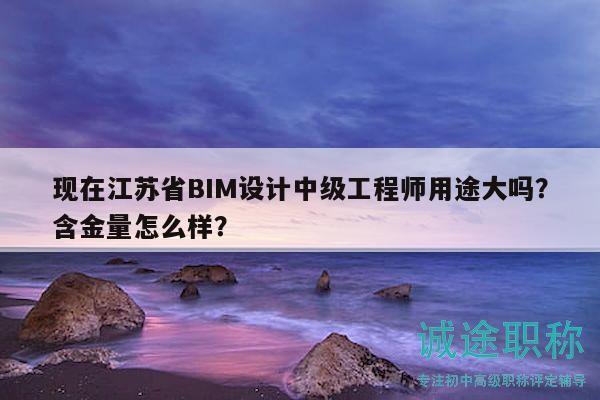 現(xiàn)在江蘇省BIM設計中級工程師用途大嗎？含金量怎么樣？