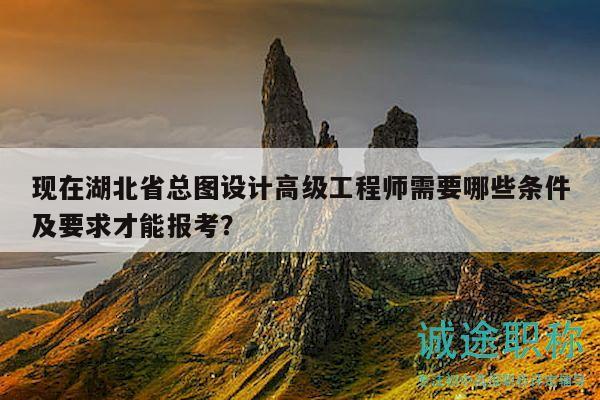 現在湖北省總圖設計高級工程師需要哪些條件及要求才能報考？