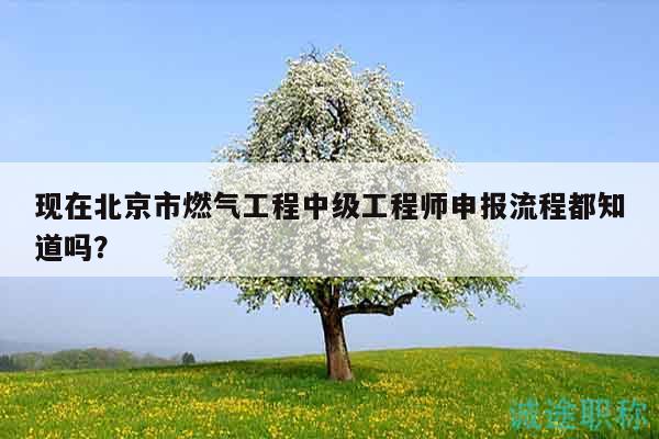 現(xiàn)在北京市燃?xì)夤こ讨屑?jí)工程師申報(bào)流程都知道嗎？