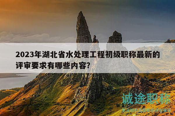 2023年湖北省水處理工程初級(jí)職稱最新的評(píng)審要求有哪些內(nèi)容？