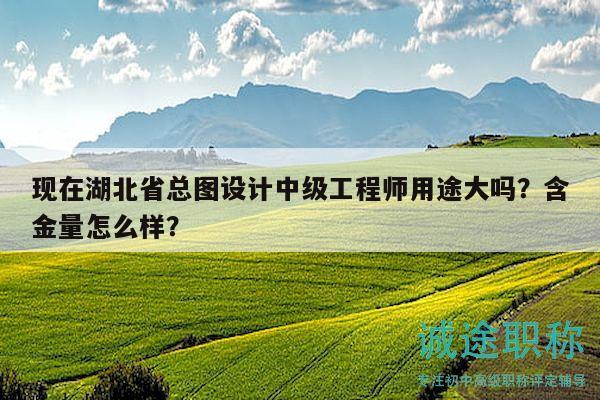 現(xiàn)在湖北省總圖設(shè)計中級工程師用途大嗎？含金量怎么樣？