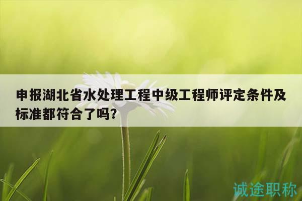 申報湖北省水處理工程中級工程師評定條件及標準都符合了嗎？