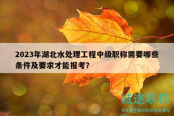 2023年湖北水處理工程中級職稱需要哪些條件及要求才能報考？