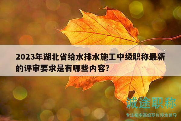 2023年湖北省給水排水施工中級職稱最新的評審要求是有哪些內(nèi)容？