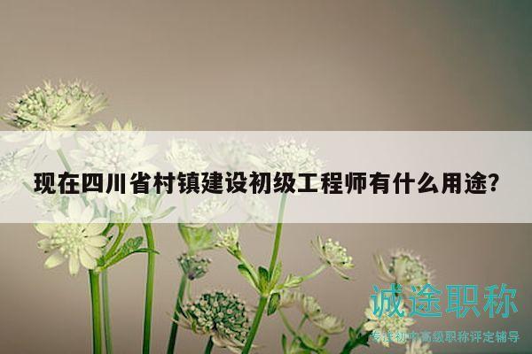 現(xiàn)在四川省村鎮(zhèn)建設(shè)初級工程師有什么用途？