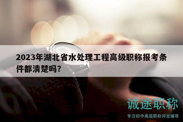 2023年湖北省水處理工程高級職稱報考條件都清楚嗎？
