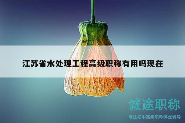 江蘇省水處理工程高級職稱有用嗎現(xiàn)在