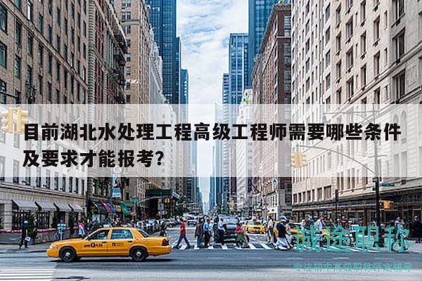 目前湖北水處理工程高級工程師需要哪些條件及要求才能報考？