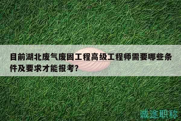 目前湖北廢氣廢固工程高級工程師需要哪些條件及要求才能報考？