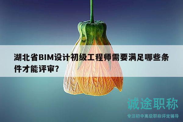 湖北省BIM設計初級工程師需要滿足哪些條件才能評審？