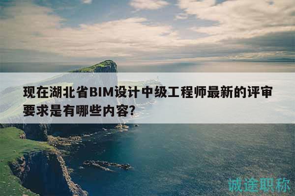 現(xiàn)在湖北省BIM設(shè)計中級工程師最新的評審要求是有哪些內(nèi)容？