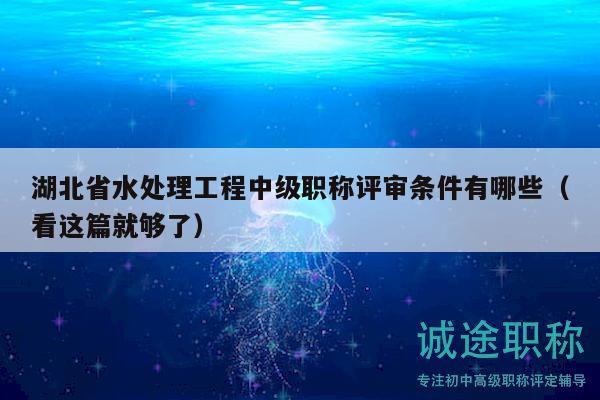 湖北省水處理工程中級職稱評審條件有哪些（看這篇就夠了）