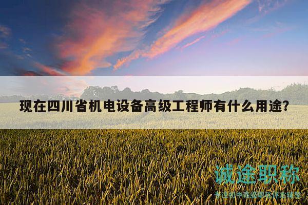 現(xiàn)在四川省機電設(shè)備高級工程師有什么用途？