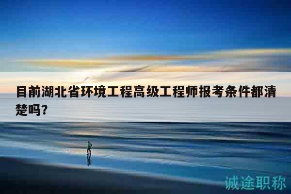 目前湖北省環(huán)境工程高級(jí)工程師報(bào)考條件都清楚嗎？