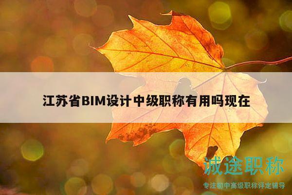 江蘇省BIM設(shè)計(jì)中級(jí)職稱有用嗎現(xiàn)在