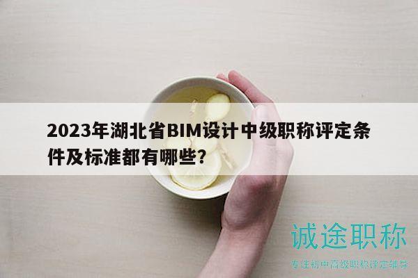 2023年湖北省BIM設(shè)計(jì)中級(jí)職稱評(píng)定條件及標(biāo)準(zhǔn)都有哪些？