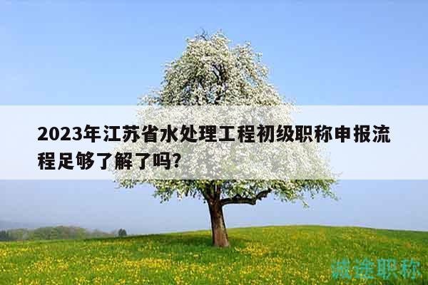 2023年江蘇省水處理工程初級職稱申報流程足夠了解了嗎？