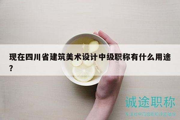 現(xiàn)在四川省建筑美術(shù)設(shè)計中級職稱有什么用途？