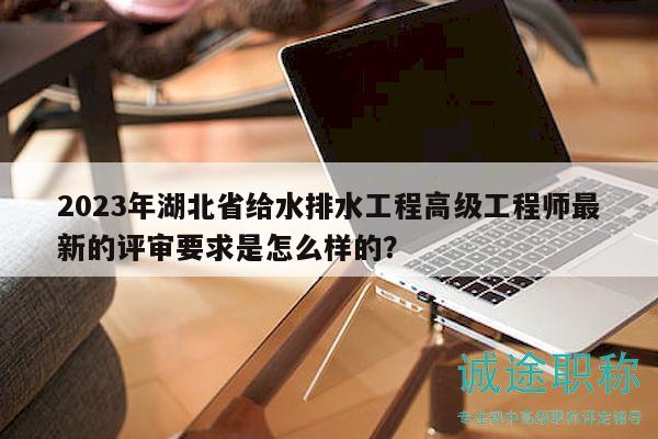 2023年湖北省給水排水工程高級工程師最新的評審要求是怎么樣的？