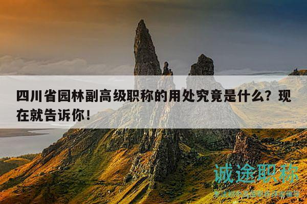 四川省園林副高級(jí)職稱的用處究竟是什么？現(xiàn)在就告訴你！