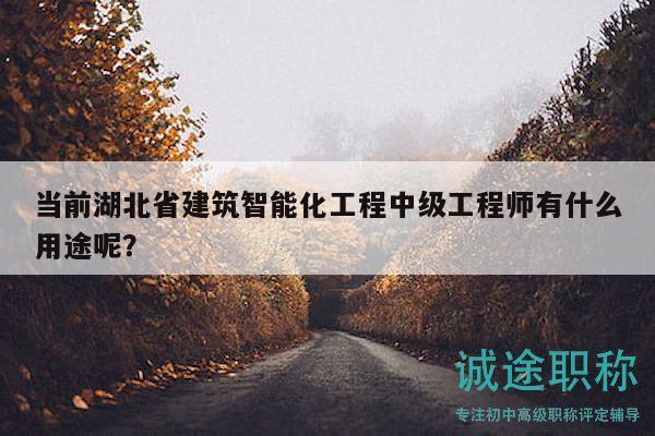 當(dāng)前湖北省建筑智能化工程中級工程師有什么用途呢？