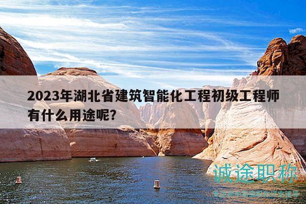 2023年湖北省建筑智能化工程初級工程師有什么用途呢？