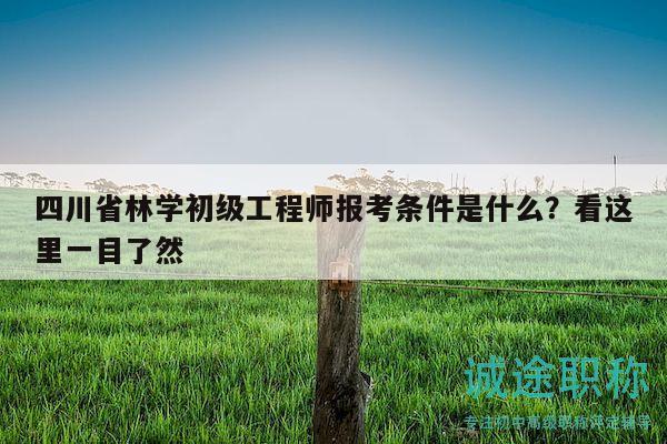 四川省林學(xué)初級(jí)工程師報(bào)考條件是什么？看這里一目了然