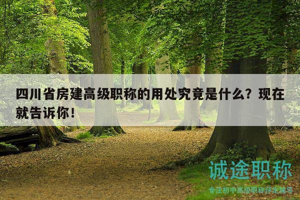 四川省房建高級職稱的用處究竟是什么？現(xiàn)在就告訴你！