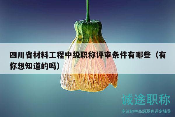 四川省材料工程中級職稱評審條件有哪些（有你想知道的嗎）