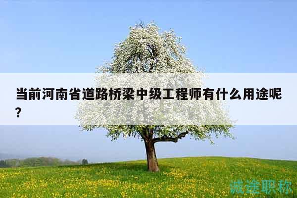 當(dāng)前河南省道路橋梁中級(jí)工程師有什么用途呢？
