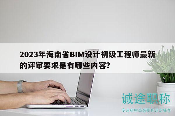 2023年海南省BIM設(shè)計初級工程師最新的評審要求是有哪些內(nèi)容？