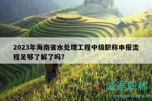 2023年海南省水處理工程中級職稱申報流程足夠了解了嗎？