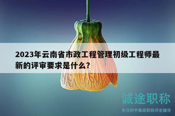 2023年云南省市政工程管理初級工程師最新的評審要求是什么？